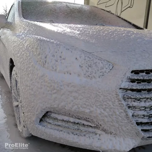 ProElite AlbaFoam 5L